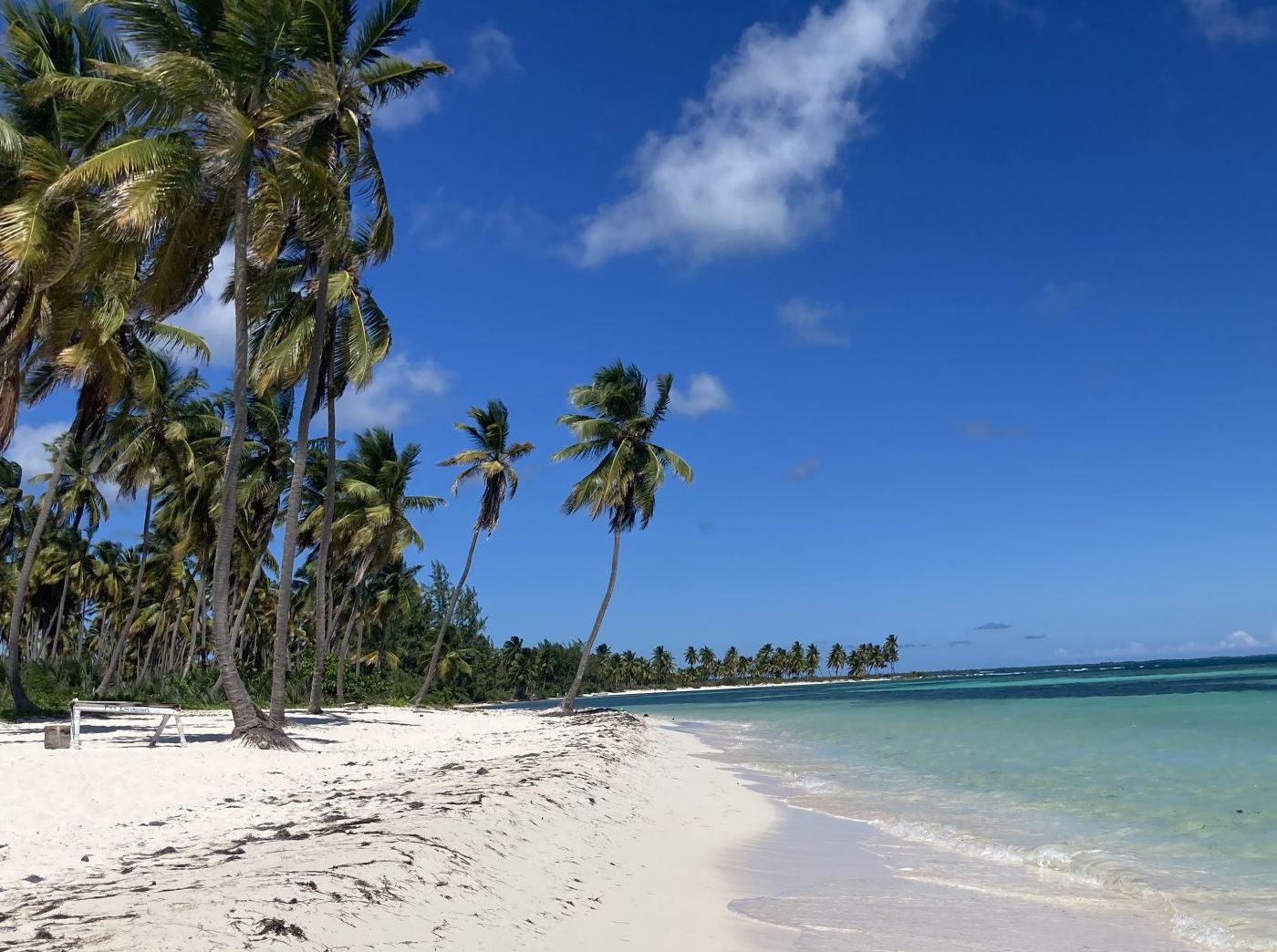 Ilha Saona Autêntico